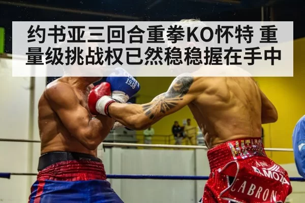 约书亚三回合重拳KO怀特 重量级挑战权已然稳稳握在手中